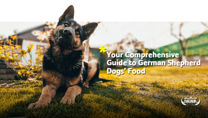 Your Comprehensive Guide to German Shepherd Dogs’ Food